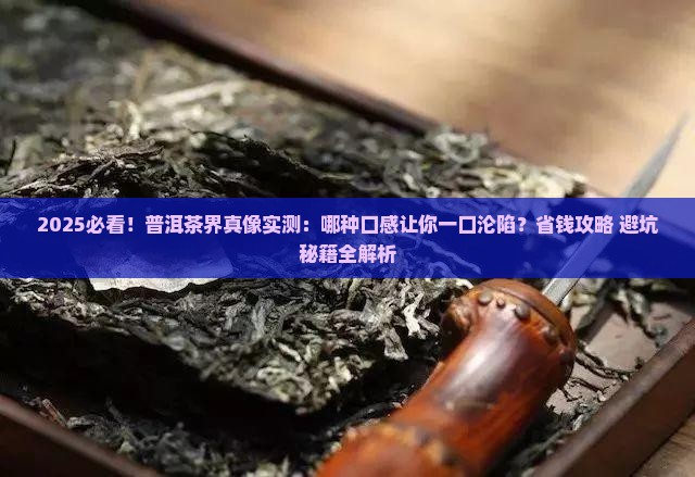 普洱茶中哪种茶好喝一点