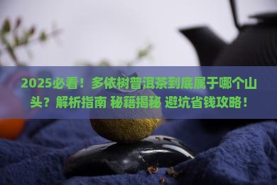 多依树普洱茶是属于哪个山头