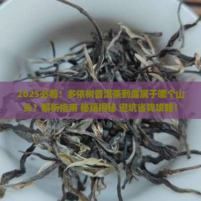 多依树普洱茶是属于哪个山头