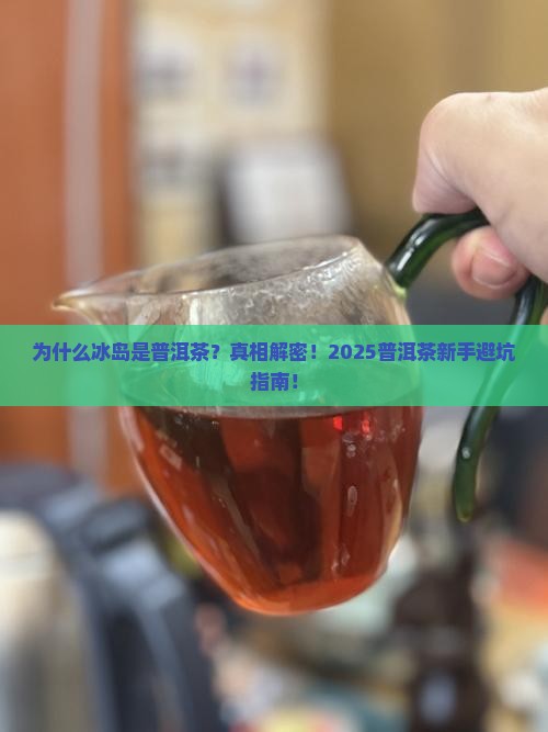 冰岛为什么是普洱茶