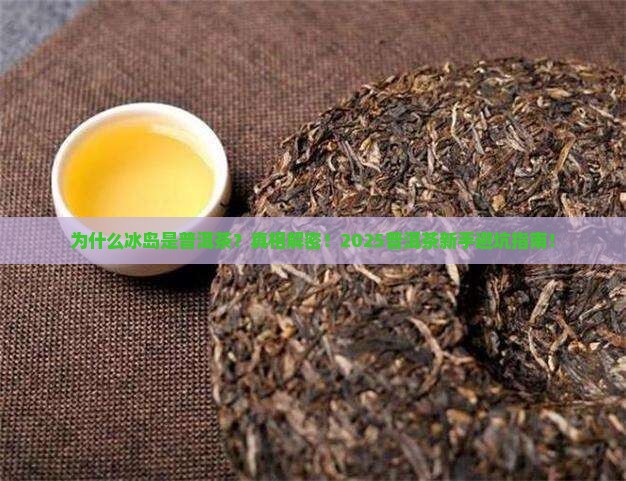 冰岛为什么是普洱茶