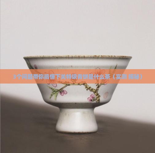下关特级青饼是什么茶