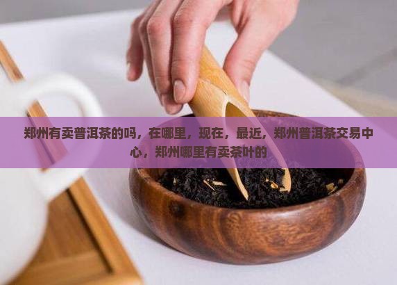 郑州有卖普洱茶的吗