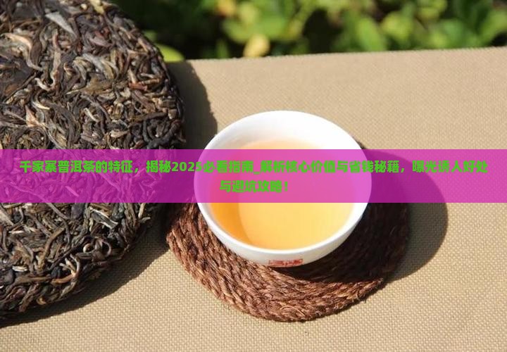 千家寨普洱茶的特征