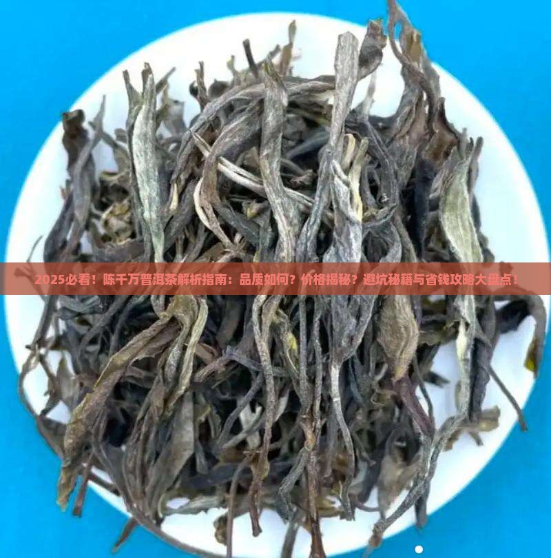 陈千万普洱茶怎么样