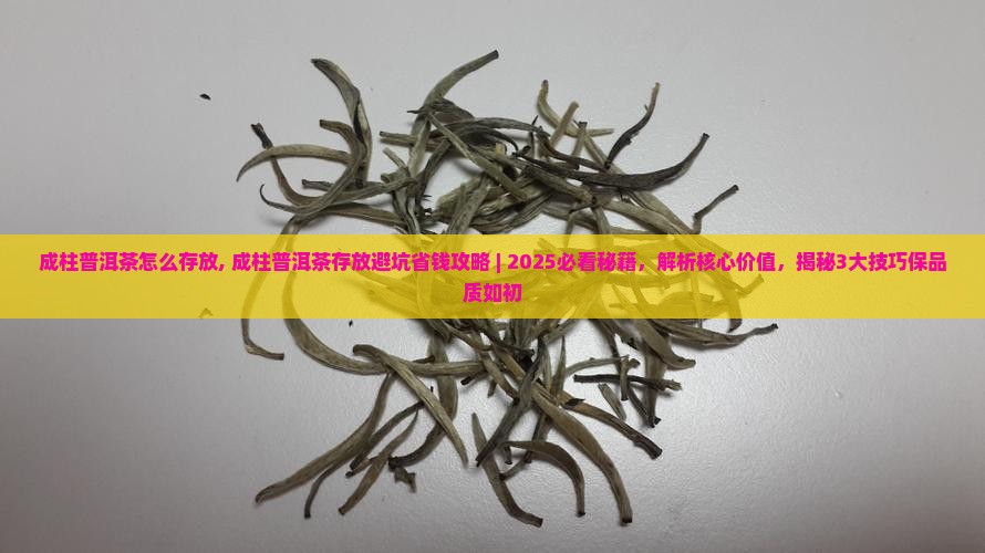 成柱普洱茶怎么存放