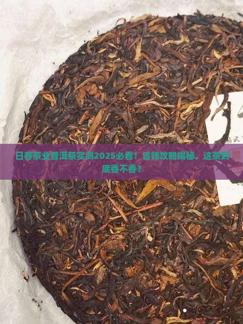日春茶业官方旗舰店普洱茶
