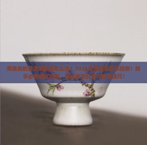 黑茶类的普洱茶