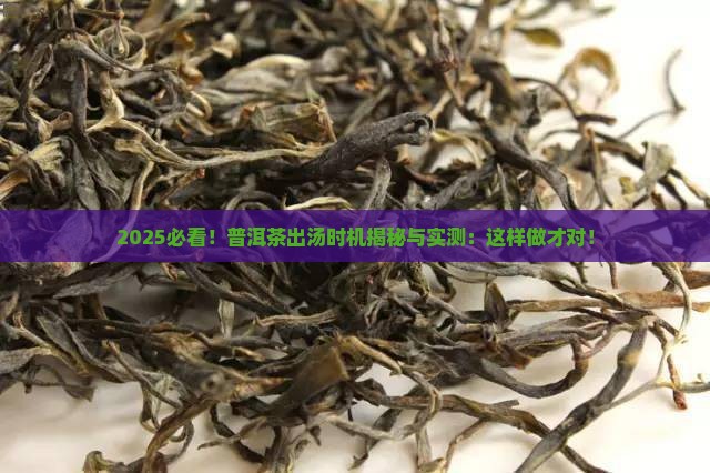 普洱茶及时出汤好不好