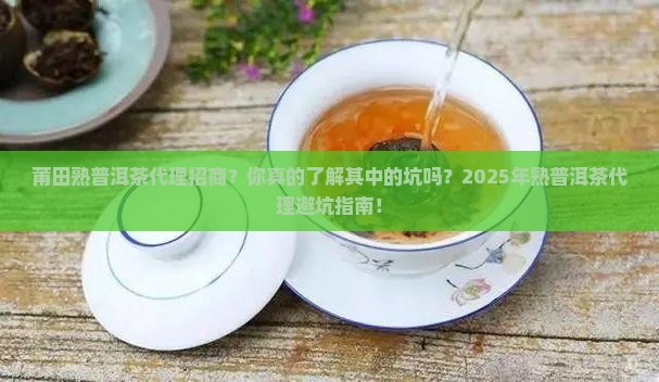 莆田熟普洱茶代理招商
