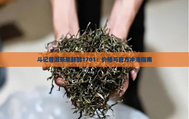 斗记普洱茶莫辞醉1701