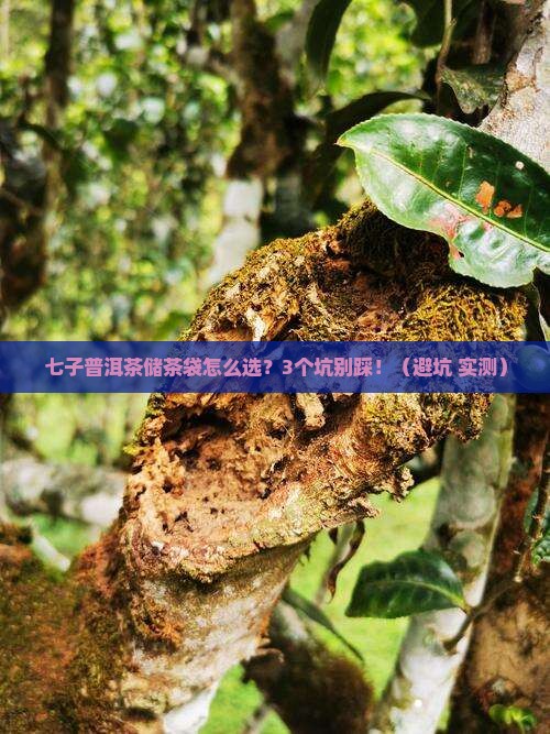 七子普洱茶储茶袋