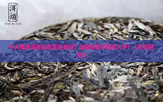 今大福普洱茶生态匠品青饼