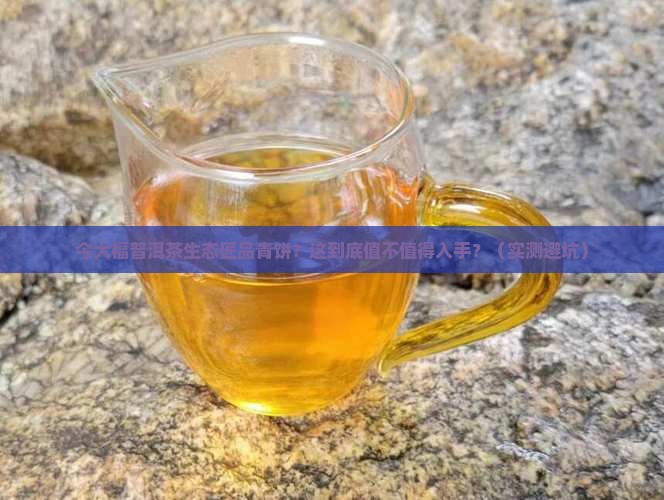 今大福普洱茶生态匠品青饼