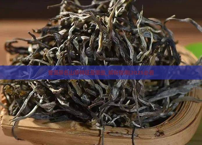 普洱茶名山茶特征是哪些