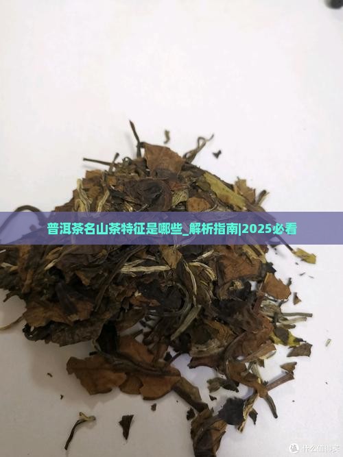 普洱茶名山茶特征是哪些