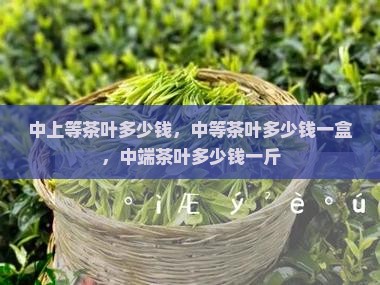中上等茶叶多少钱