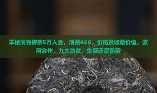 羊楼洞青砖茶5万入会