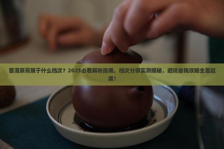 普洱茶膏属于什么档次的