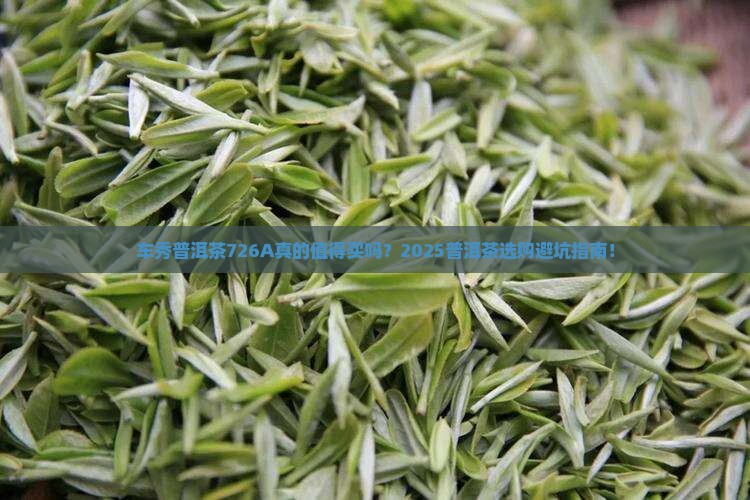 车秀普洱茶726A