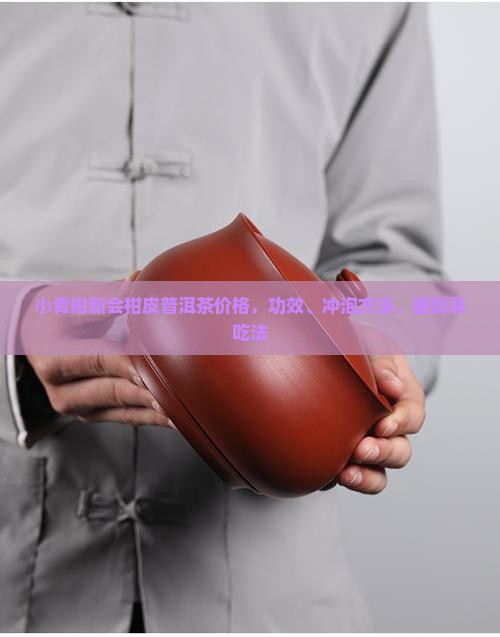 小青柑新会柑皮普洱茶价格