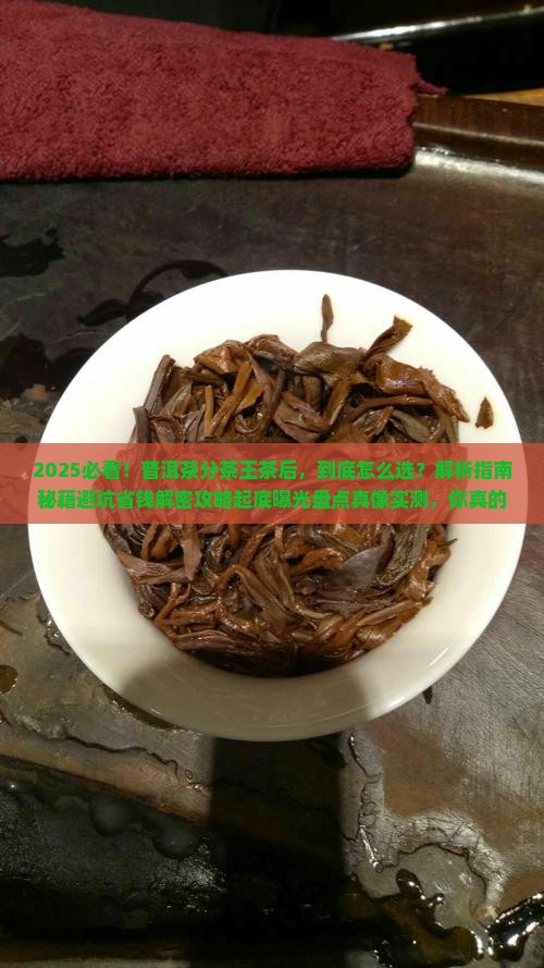 普洱茶分茶王茶后