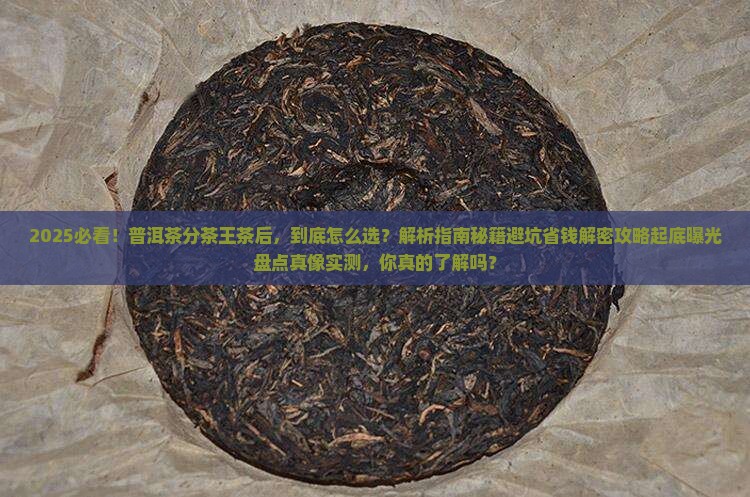 普洱茶分茶王茶后