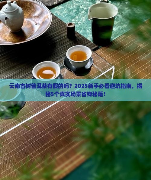 云南古树普洱茶有假的吗