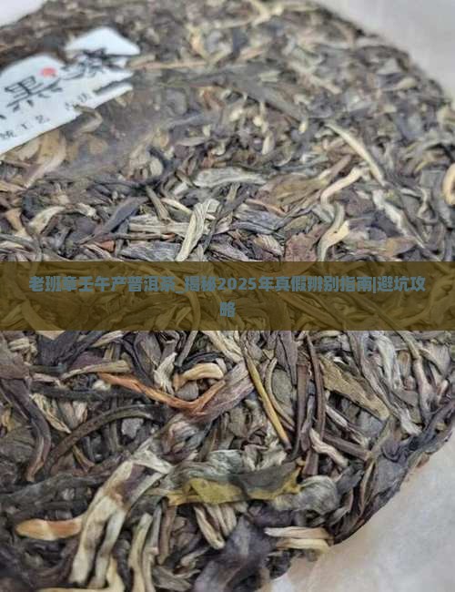 老班章壬午产普洱茶 老班章壬午产普洱茶