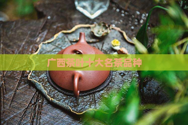 广西三大名茶品种