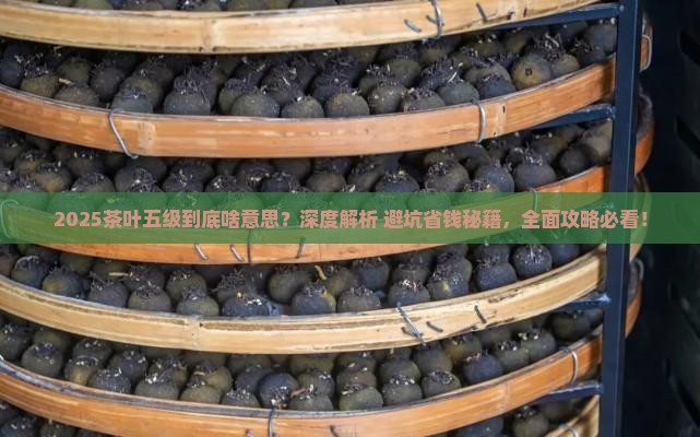 五级茶叶是什么意思