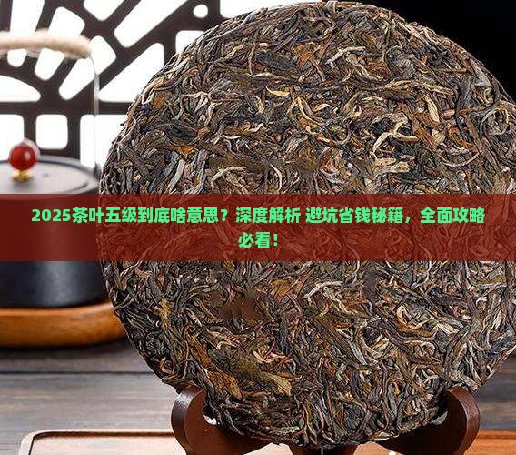 五级茶叶是什么意思