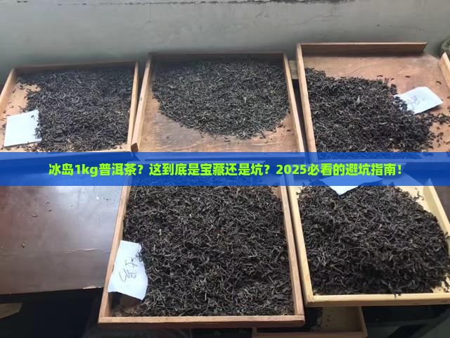冰岛1kg普洱茶