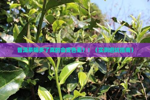普洱茶喝多了会变色素吗
