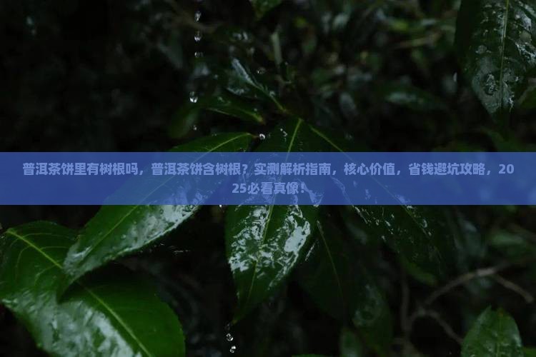 普洱茶饼里有树根吗
