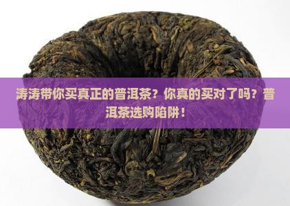 涛涛带你买真正的普洱茶