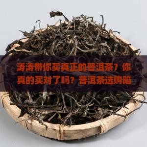 涛涛带你买真正的普洱茶
