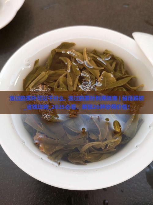 泡过的茶叶可以干什么
