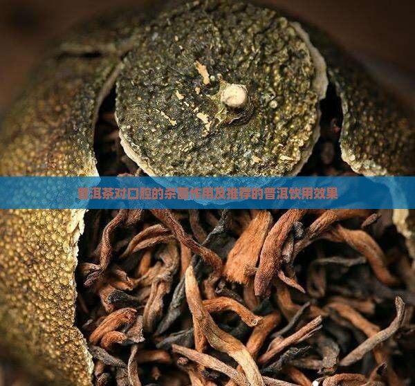 普洱茶的杀菌能力