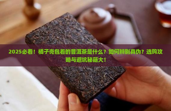 橘子壳包着的普洱茶是什么