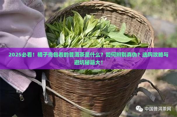 橘子壳包着的普洱茶是什么