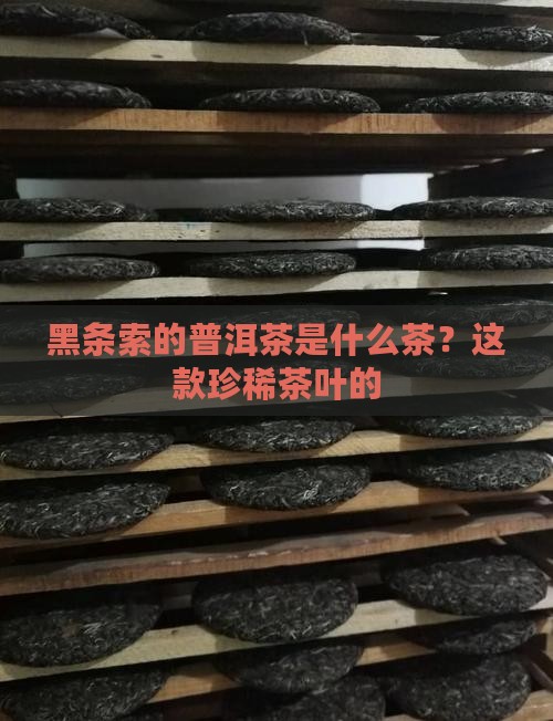 黑条索的普洱茶是什么茶