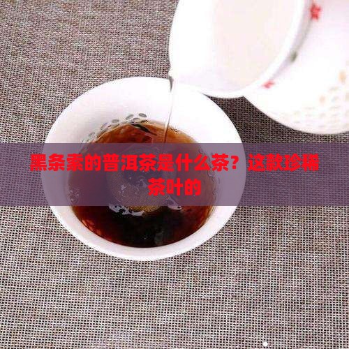 黑条索的普洱茶是什么茶