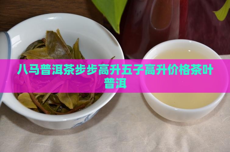 八马普洱茶步步高升多少钱