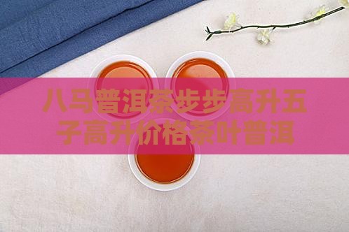 八马普洱茶步步高升多少钱