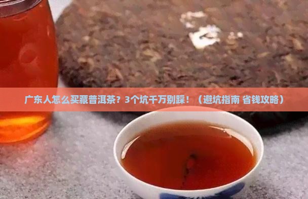 广东这边如何购买藏普洱茶