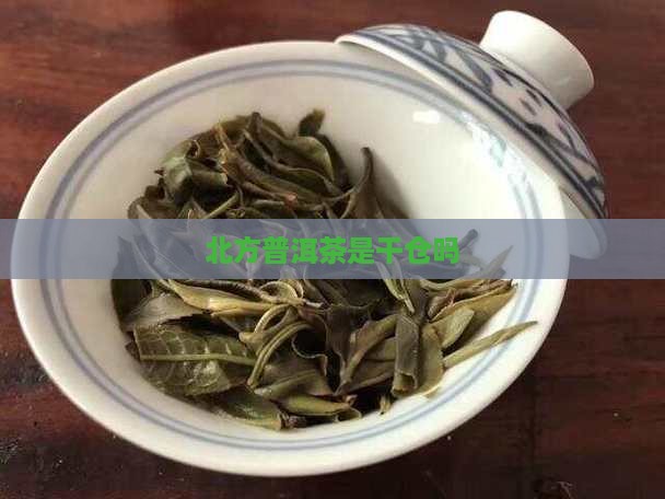 北方普洱茶是干仓吗