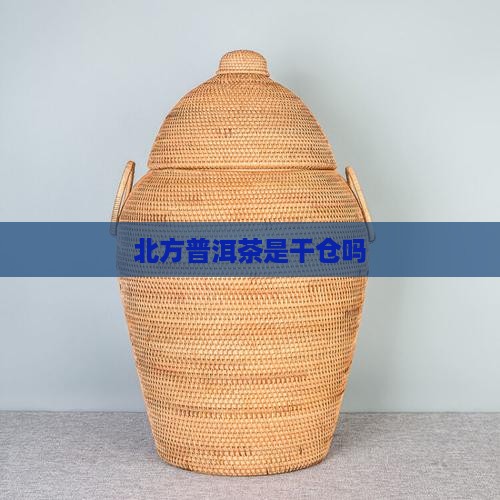 北方普洱茶是干仓吗