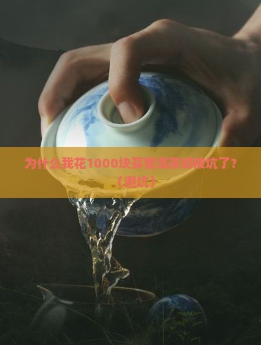 为何取名普洱茶