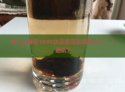 为何取名普洱茶